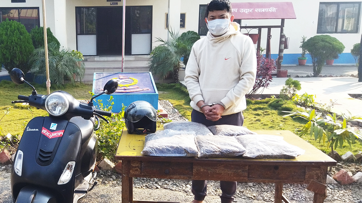 विराटनगरबाट पाँच किलो गाँजासहित एक पक्राउ